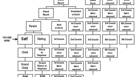 Cousin Chart: Cousins, Second Cousins, and More.